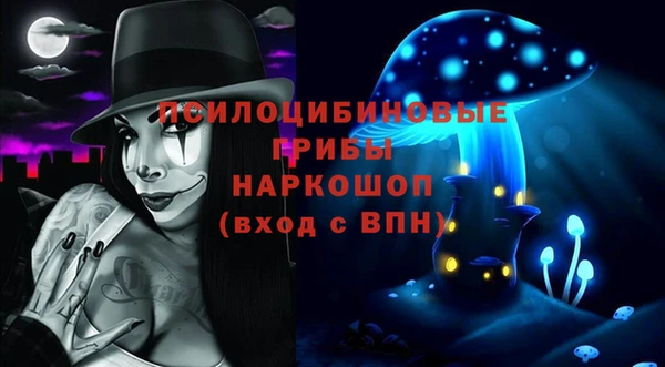 амф Корсаков