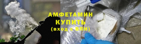 индика Костерёво