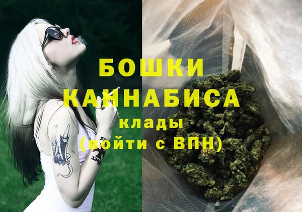 индика Костерёво