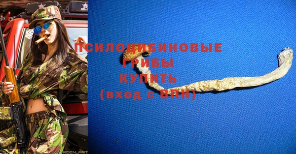 первитин Коряжма