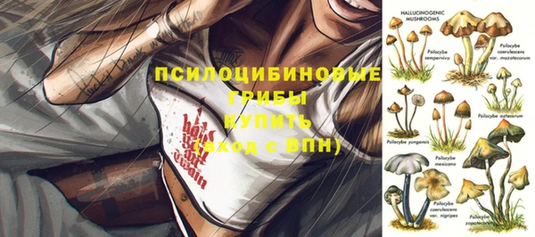 индика Костерёво