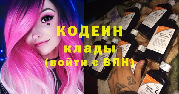 индика Костерёво