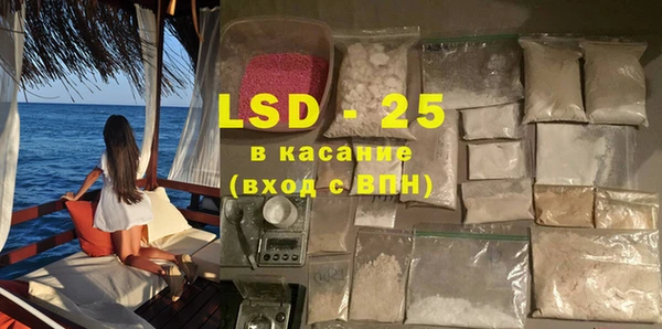 индика Костерёво