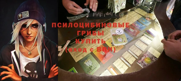 индика Костерёво