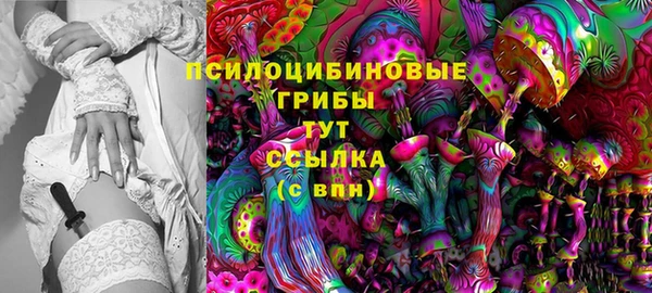 первитин Коряжма