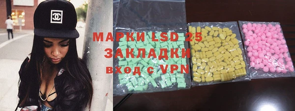 индика Костерёво