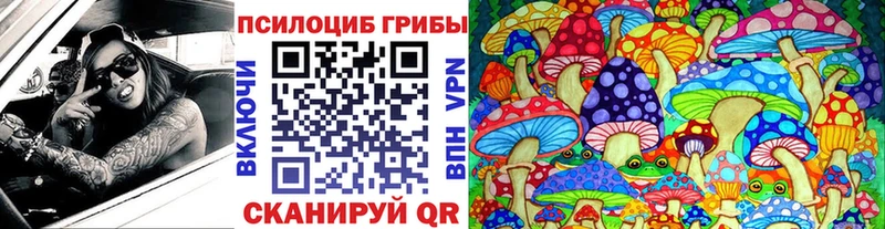 Галлюциногенные грибы Psilocybine cubensis  Купить закладки  Бикин 